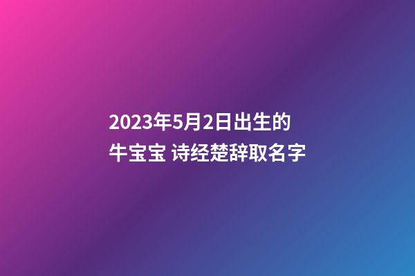 2023年5月2日出生的牛宝宝 诗经楚辞取名字